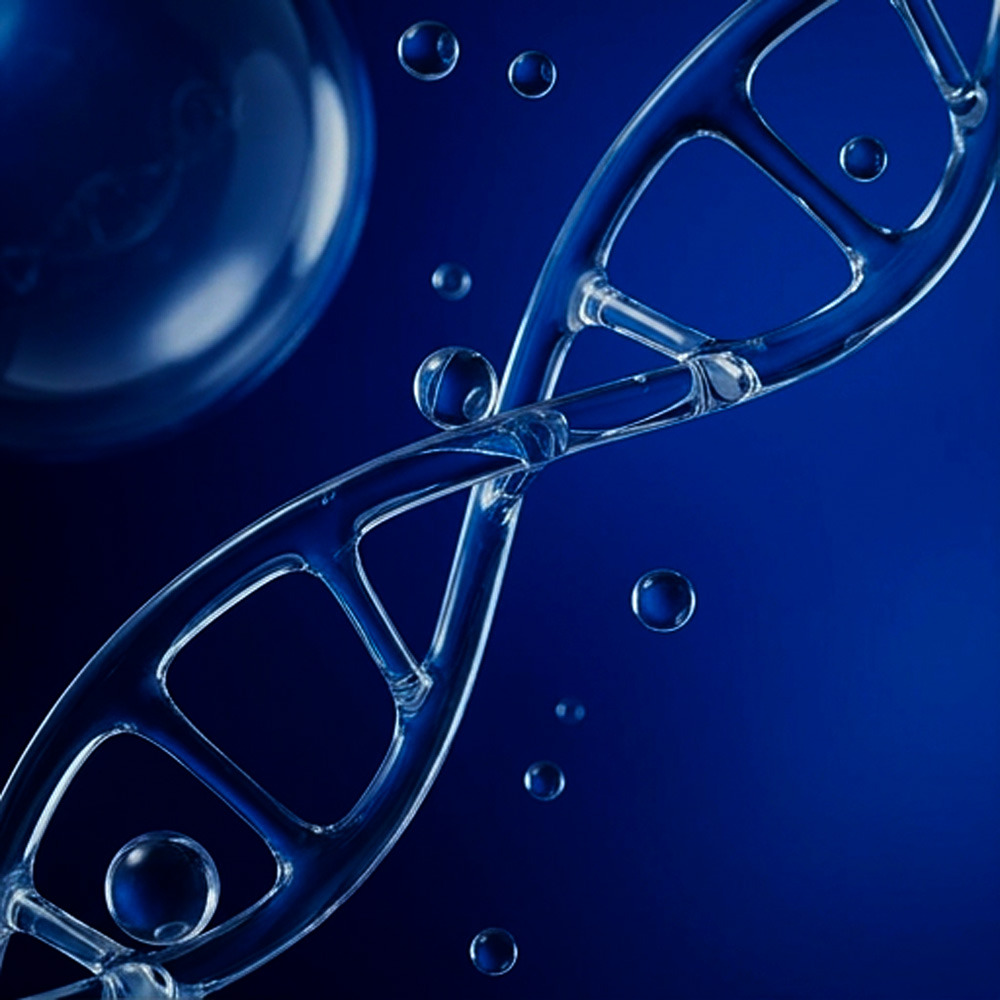 Wireframe rendering of a research peptide vial alongside molecular structure